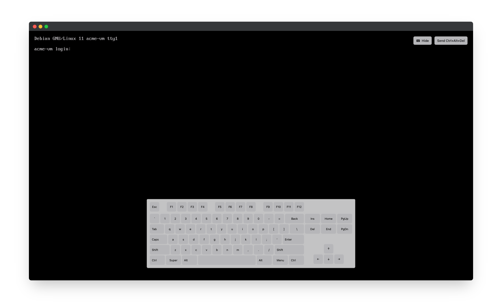 Virtual machine details - on screen keyboard